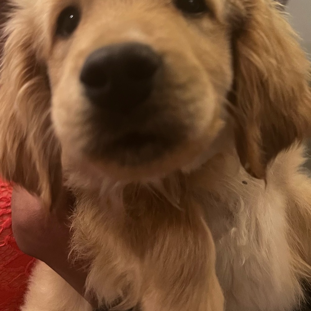 Meet your Posher, Mother of 5